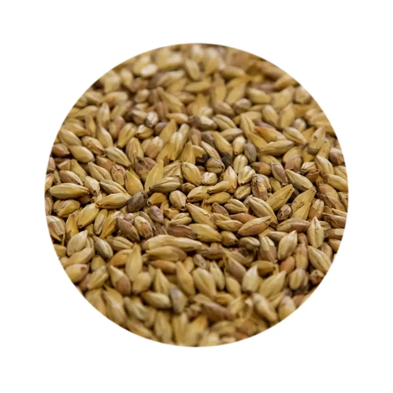 Dingemans Biscuit Malt – Toasty, Nutty Specialty Grain For Complex Beer Profiles 1