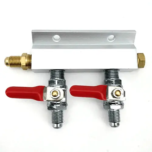 Dual-Outlet Gas Manifold With 1/4" Mfl Check Valves 1