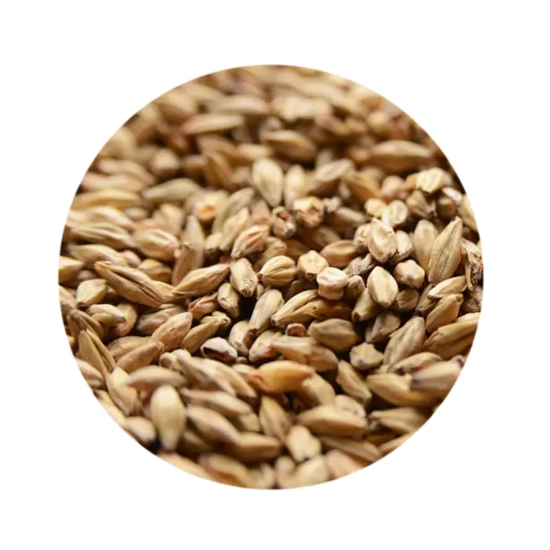 Gambrinus Honey Malt – Sweet, Caramel-Forward Base Malt 1