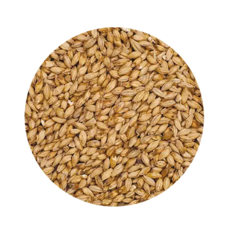 Heavy Peated Malt – Specialty Smoked Brewing Grain 1