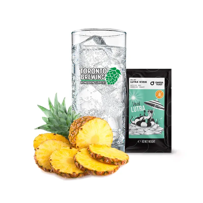 Pineapple Hard Seltzer Brewing Kit – 5-Gallon Homebrew Recipe 1