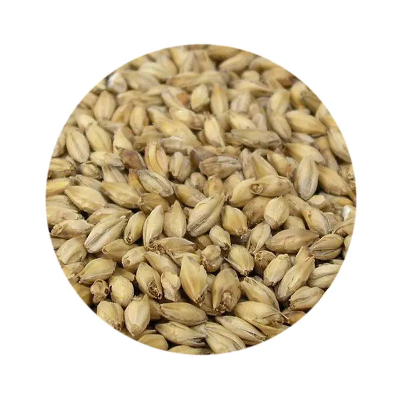 Rahr 2-Row Base Malt – Unmilled Brewing Grain 1