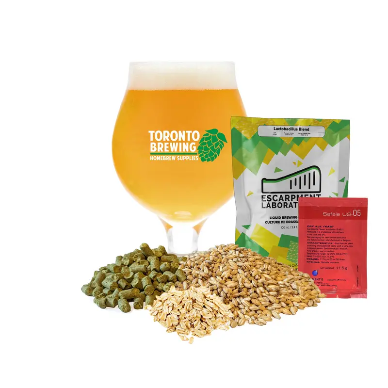Traditional Gose Sour Beer All-Grain Homebrew Kit (5 Gal) 1
