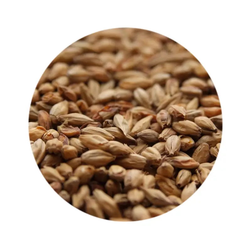 Weyermann Abbey Malt – Specialty Dark Munich-Style Base Malt 1
