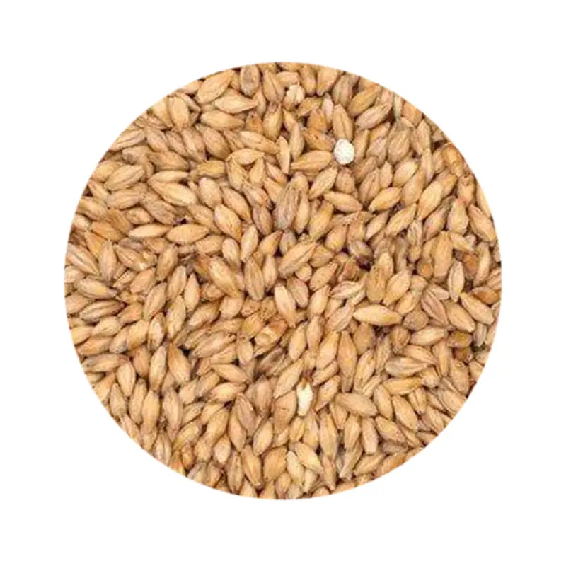Weyermann Barke® Pilsner Malt – Premium German Base Malt For Lager Brewing 1