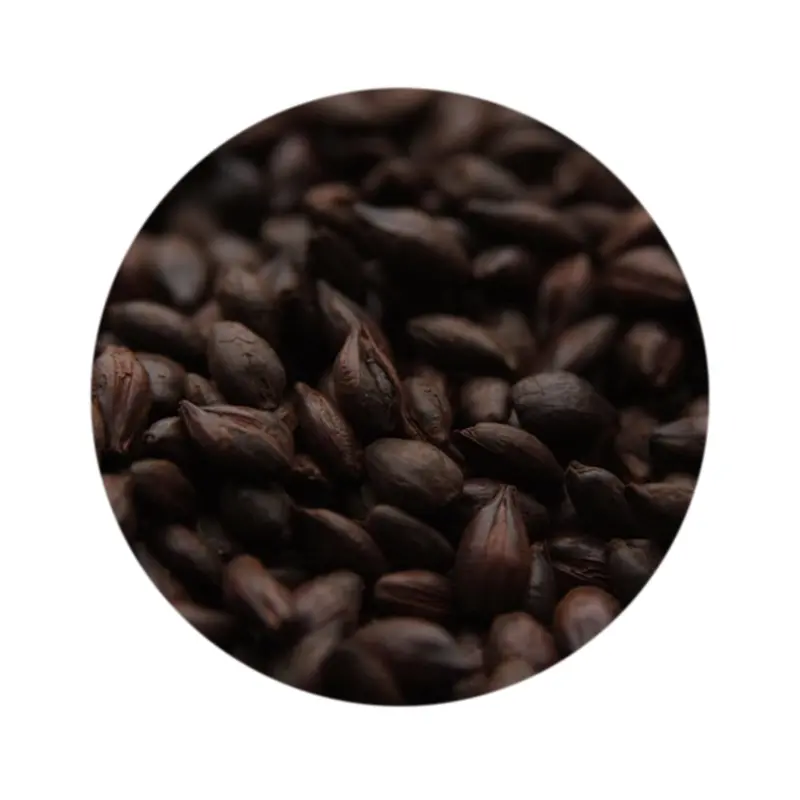 Weyermann Carafa Special Type Iii – Dehusked Roasted Barley For Deep Color & Smooth Flavor 1