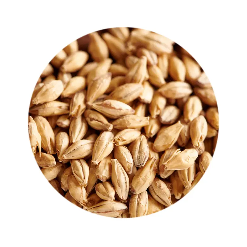 Weyermann Carahell Malt – Specialty Brewing Grain 1