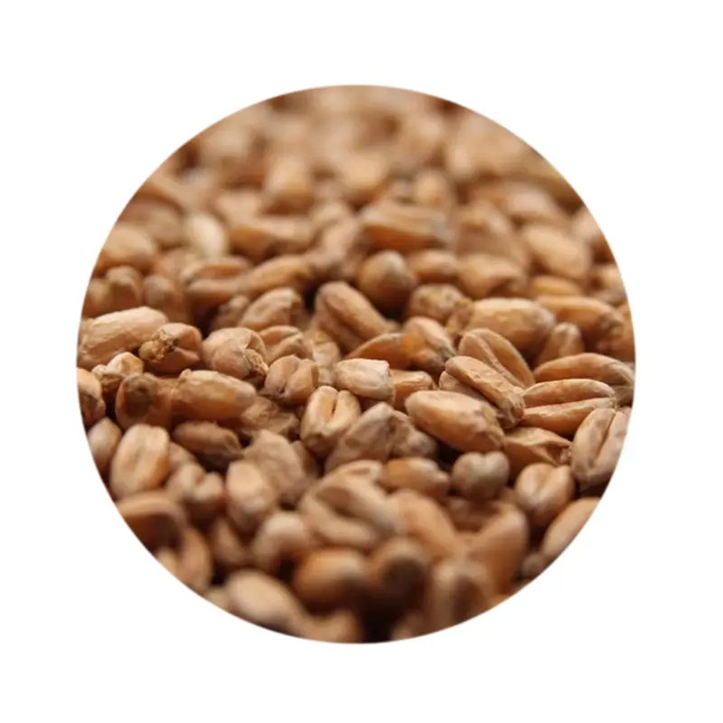 Weyermann Oak Smoked Wheat Malt – Distinctive German Specialty Grain 1