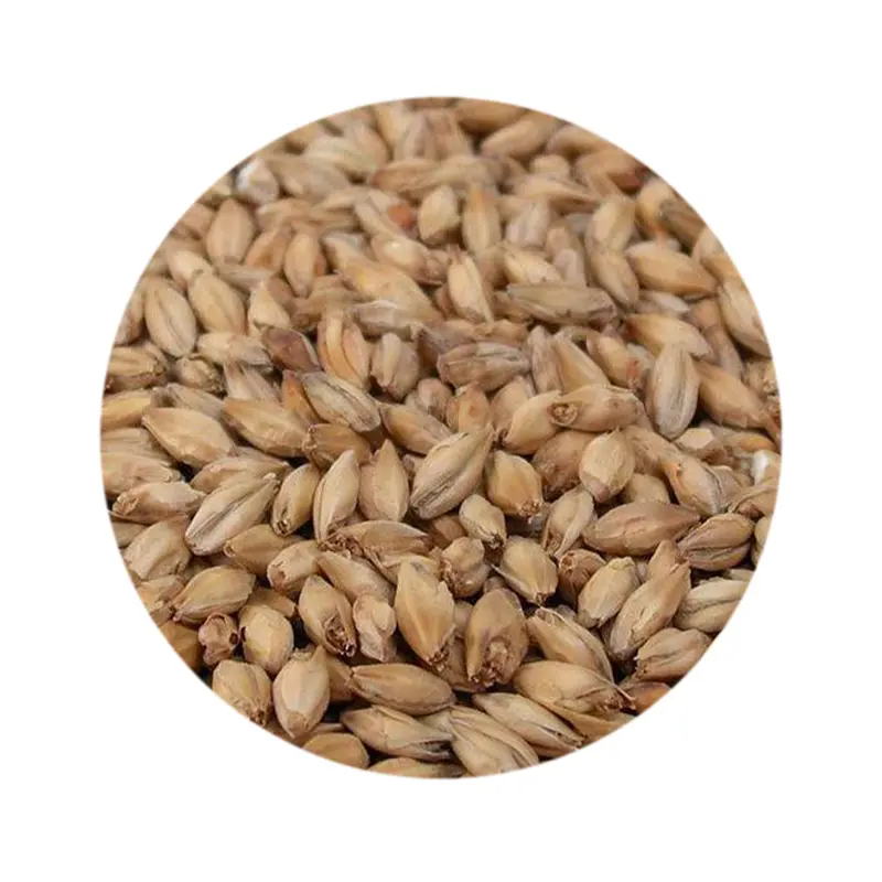 Weyermann Pilsner Malt – High-Quality Pre-Milled Base Grain 1